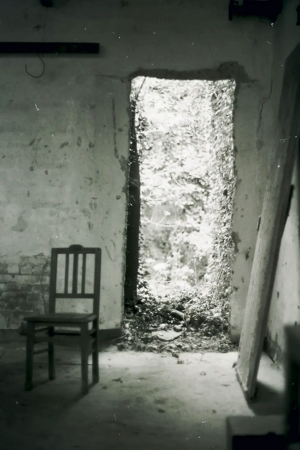 Photography - Wim - 01 01 1990 - 17
